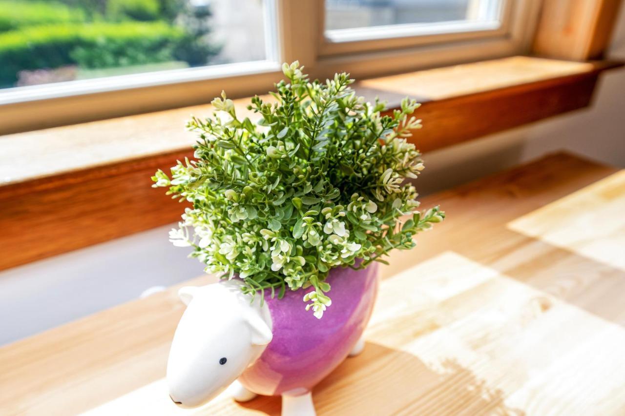 Cozy With Character Cheerful Home With Garden At Leith Links Park 에든버러 외부 사진